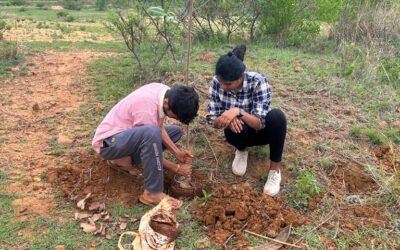 Plantation Drive by Pranava Seva Foundation & Vivekananda Law & Degree College